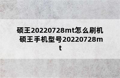 硕王20220728mt怎么刷机 硕王手机型号20220728mt